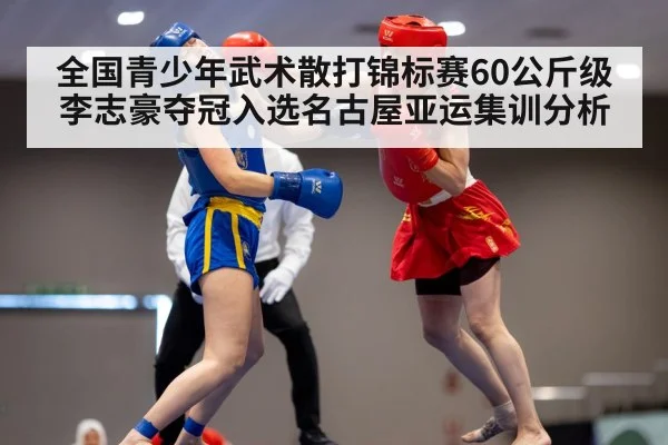wushu sanda competition